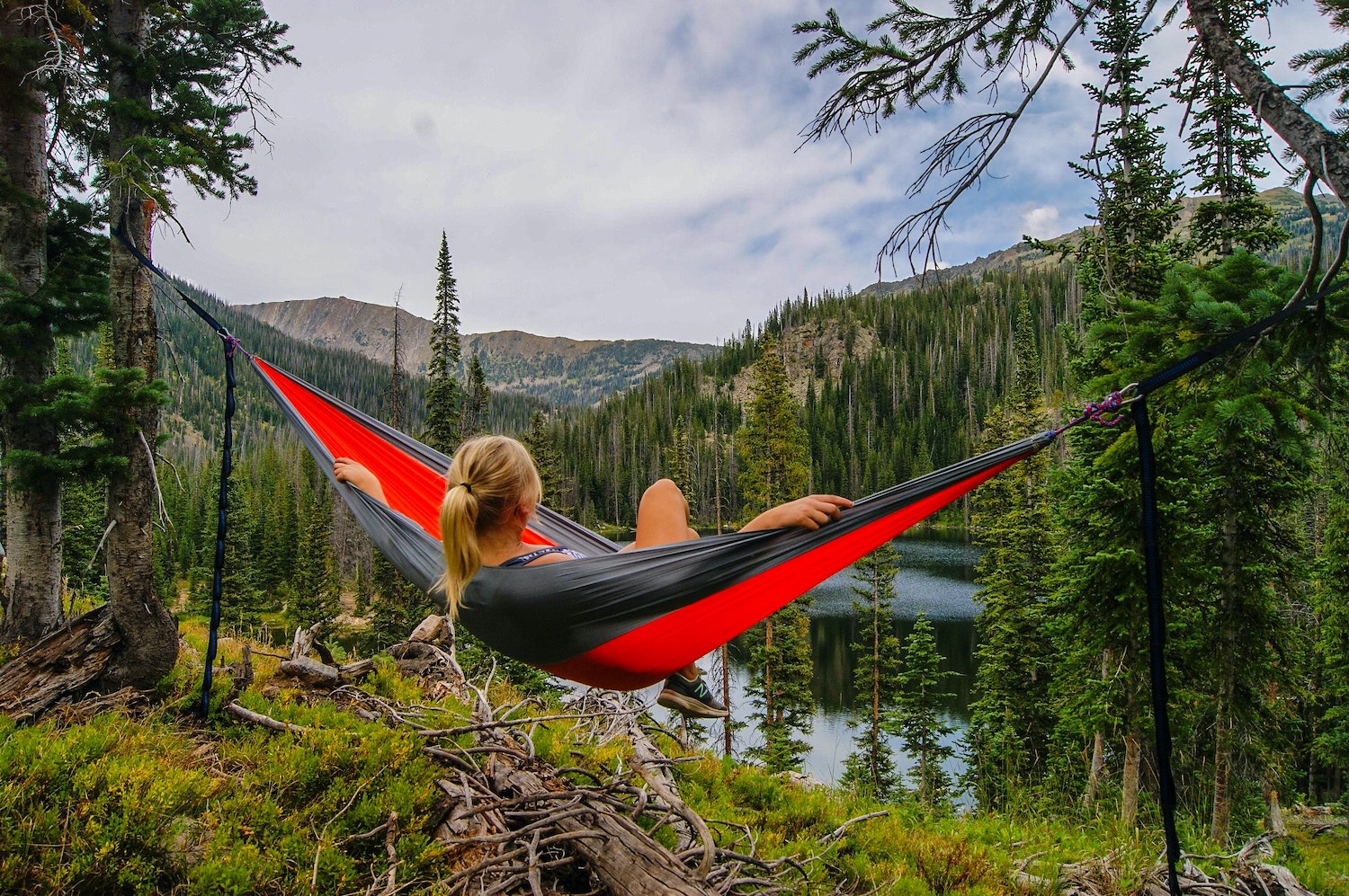 henry david thoreau - success unexpected in common hours - carolyn daughters